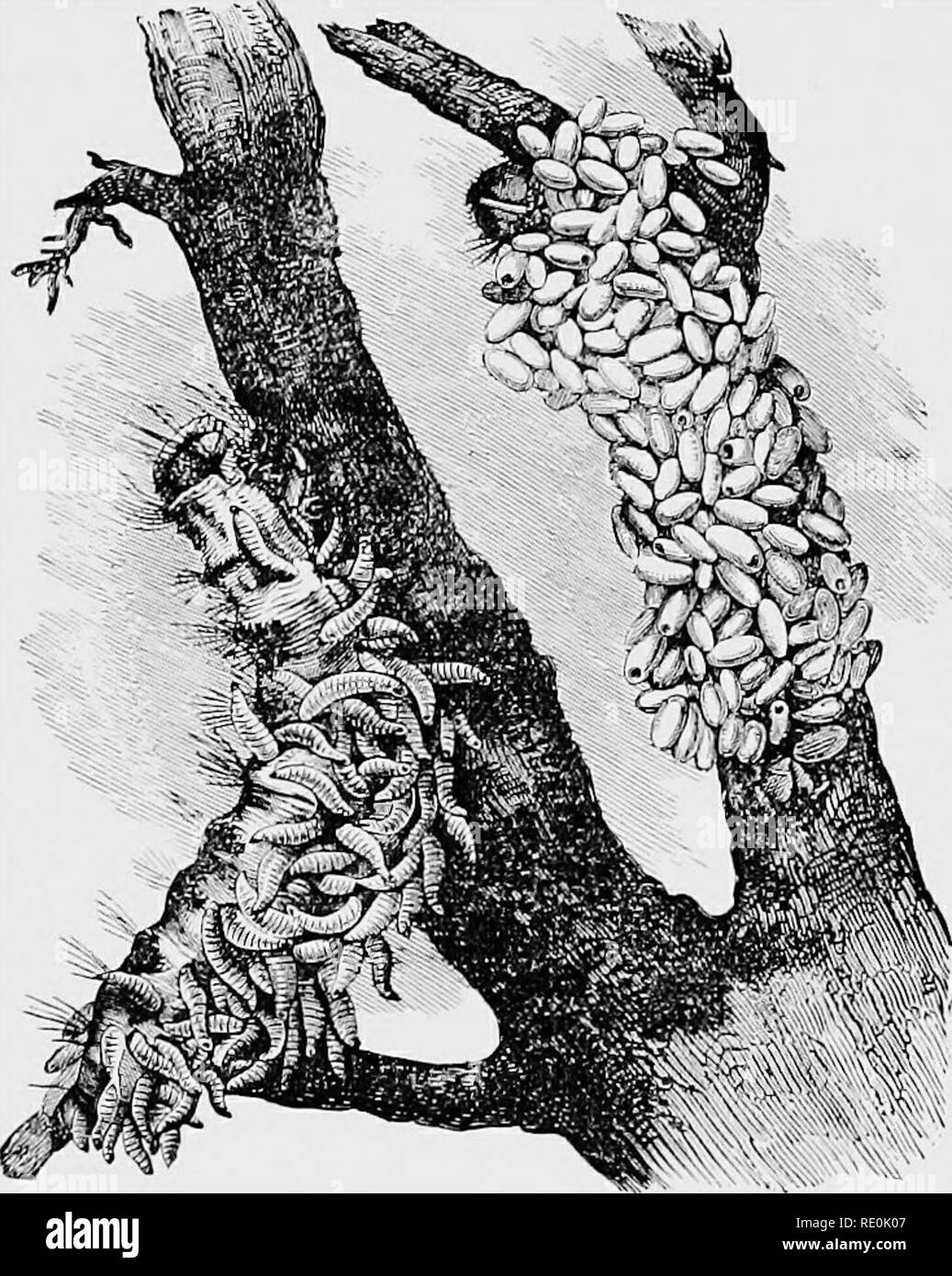 Instrument interaction Black and White Stock Photos & Images - Alamy