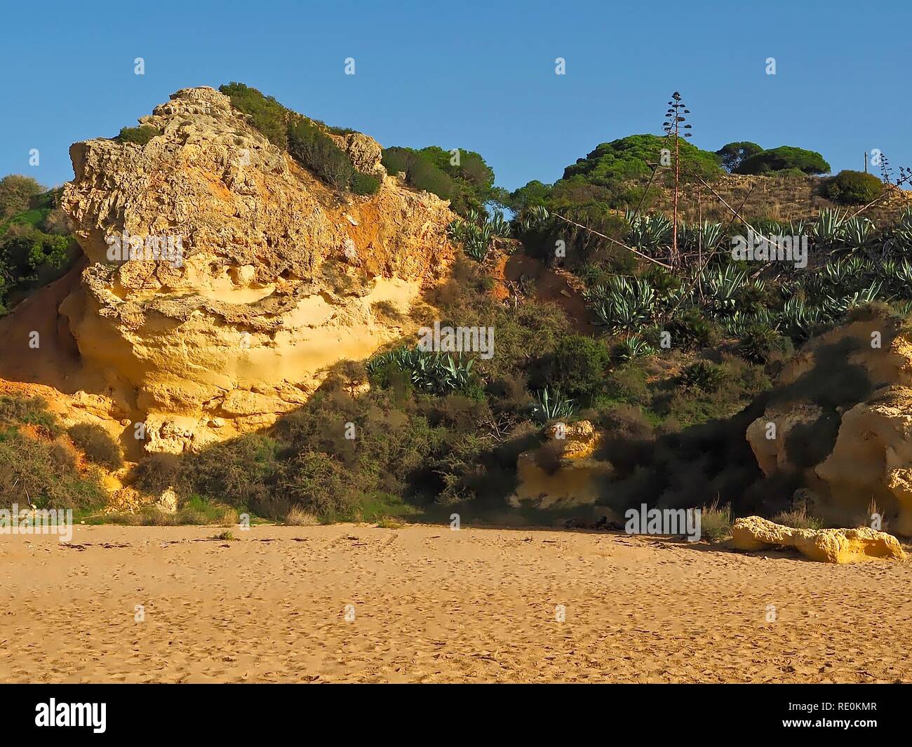 Typical beach sight of the Algarve in Portugal with cacti and rocks ...