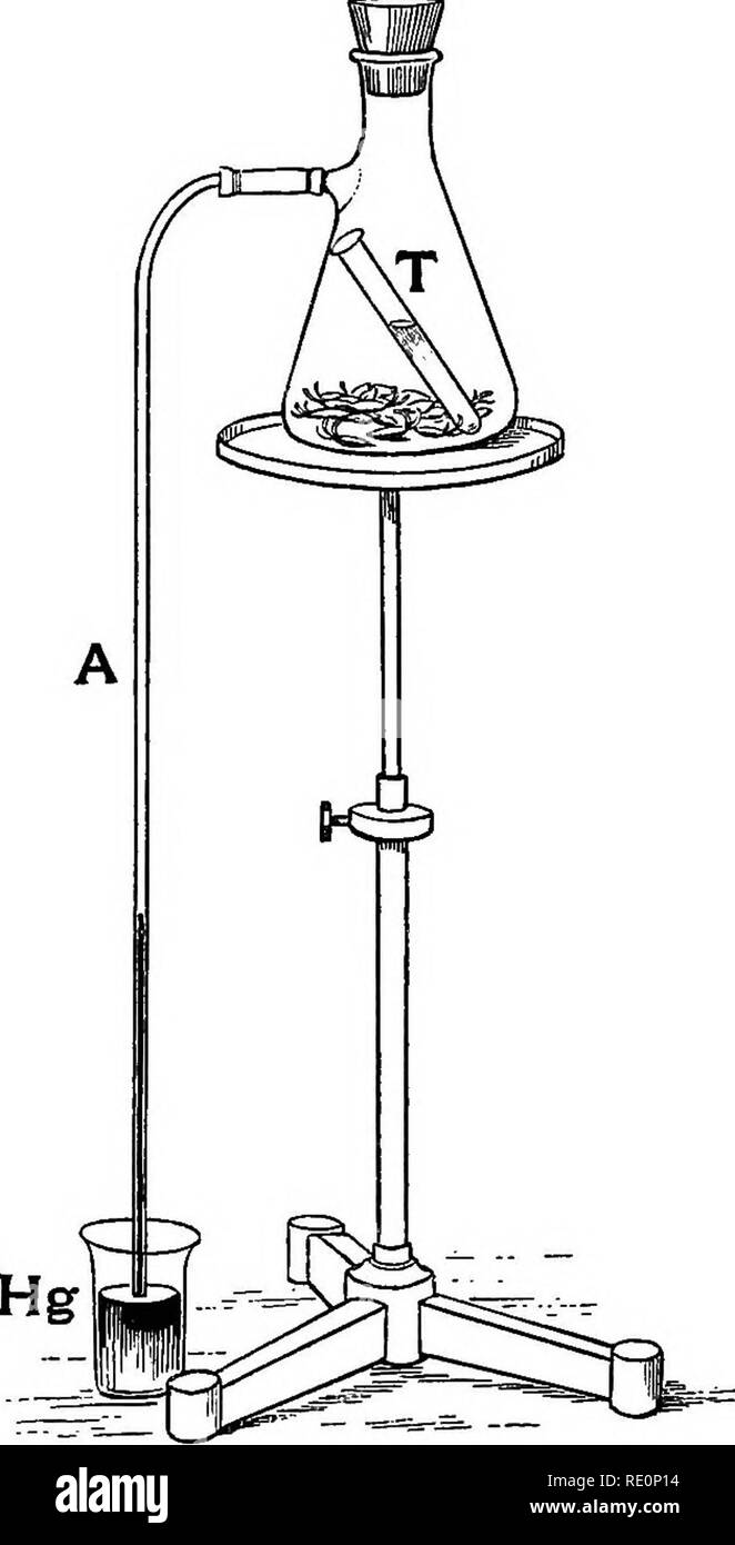 Practical Physiology Of Plants Plant Physiology 1894