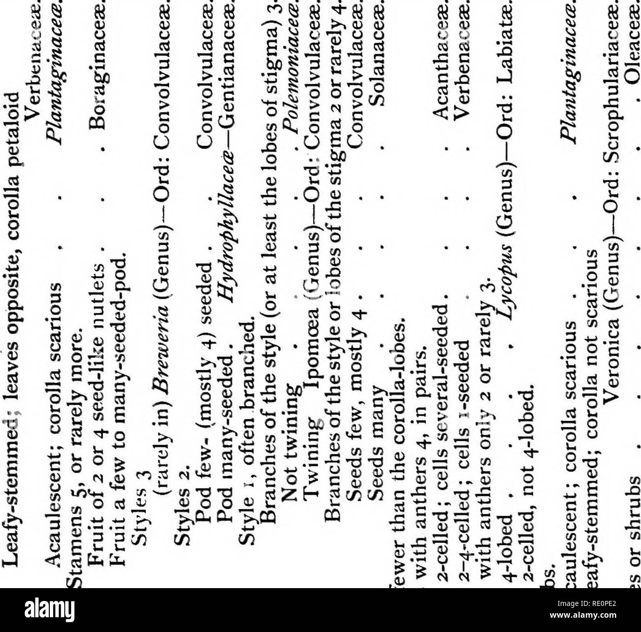 Page 5 4k Images High Resolution Stock Photography And Images Alamy