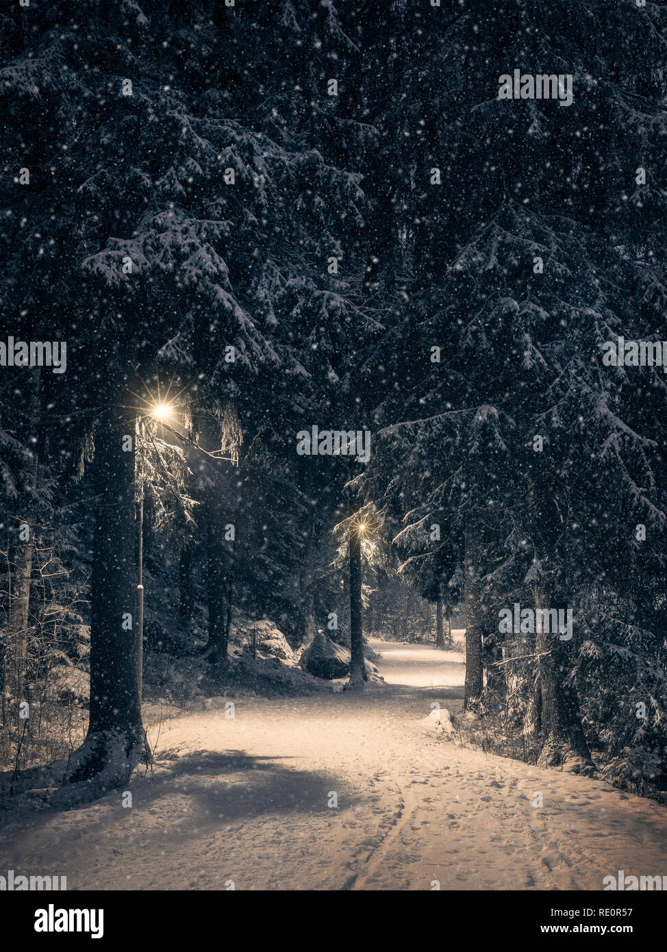 Moody landscape with snow path and light at winter evening in Finland Stock Photo