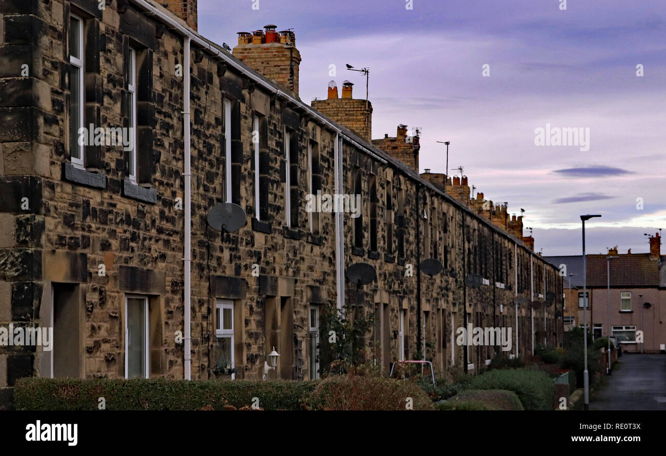 Northumbria terraced housing with small front gardens in Amble,   Amble is a small town on the north east coast of Northumberland in the North East. Stock Photo