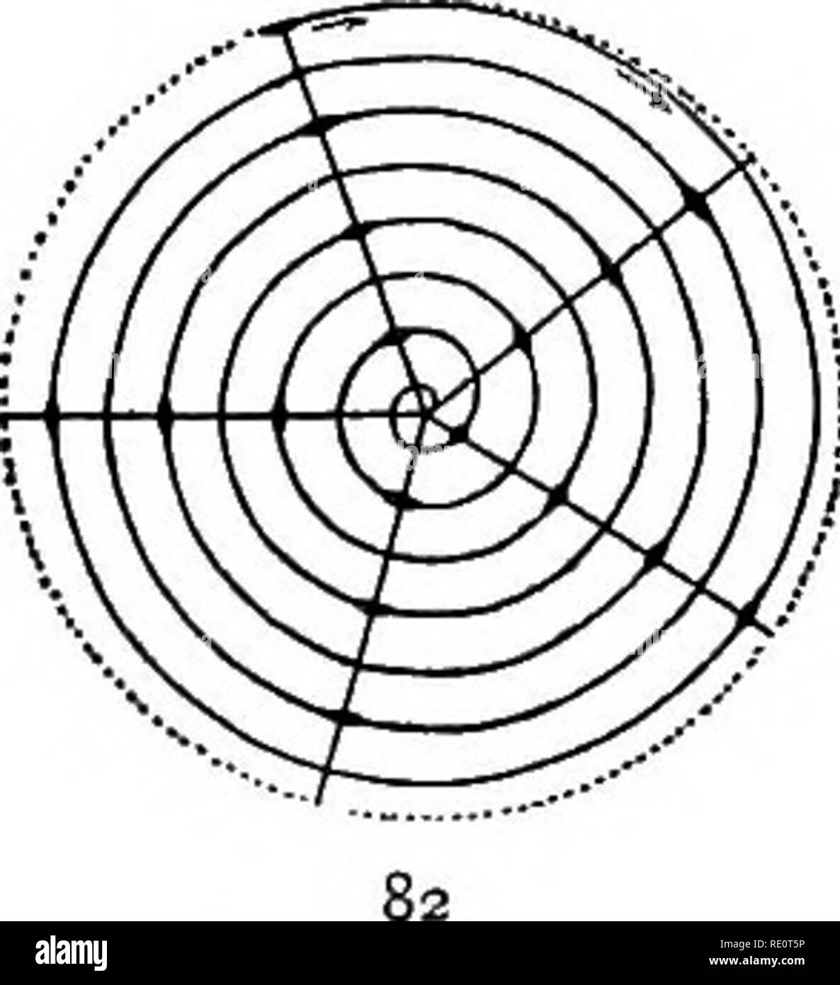 Two ranked leaf arrangement hires stock photography and images Alamy