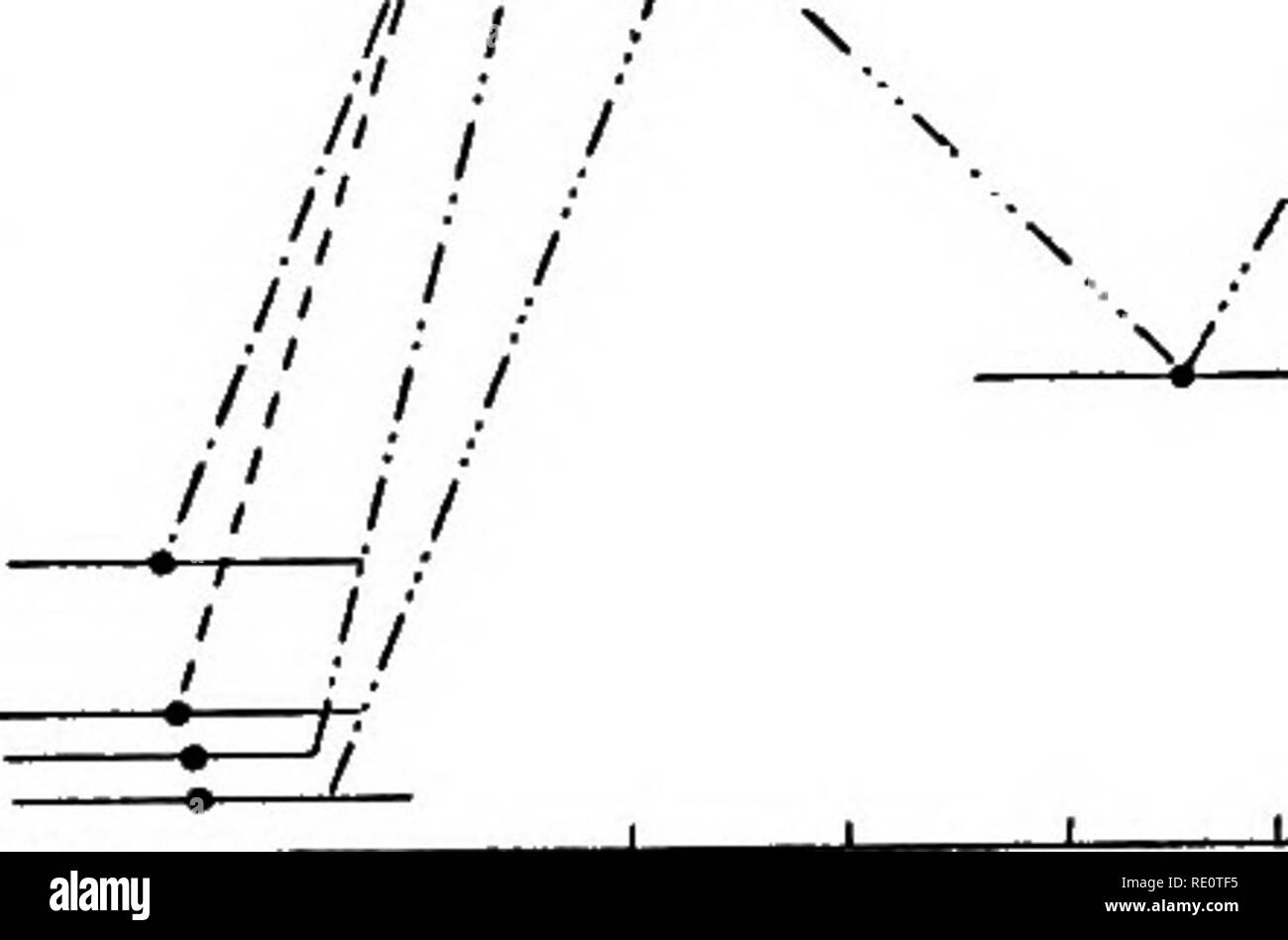 . The daily march of transpiration in a desert perennial. Desert plants; Plants. TRANSPIRATION STUDIES. 27 but lost its leaves immediately and gained a new set after two weeks. The areas were as follows: No. 1, 68.31 sq. cm.; No. 2, 75.70 sq. cm.; No. 3, 101.67 sq. cm.; No. 4,13.11 sq. cm. No. 1 had acquired a new set of leaves since April 25, when they were taken off for measurement. Table 9.- -Transpiration o ffour potted plants. Experiment IX. Dale, June SO 1911. Time. Ti Ti Tz Ti .Bio Ti JSio Ex, 3P. Â£.0 Temp. Ilel. hum. 4i'17&quot;a.m. 5 23 a.m./ 8 17 a.m. 10 12 a.m. 11 21 a.m. 12 18 p. Stock Photo