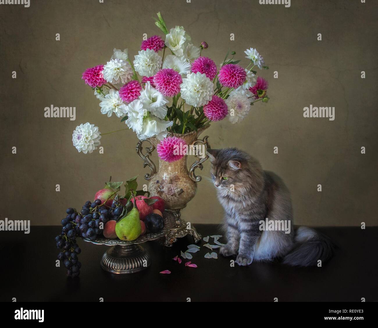 Still life with bouquet of flowers and pretty kitty Stock Photo - Alamy