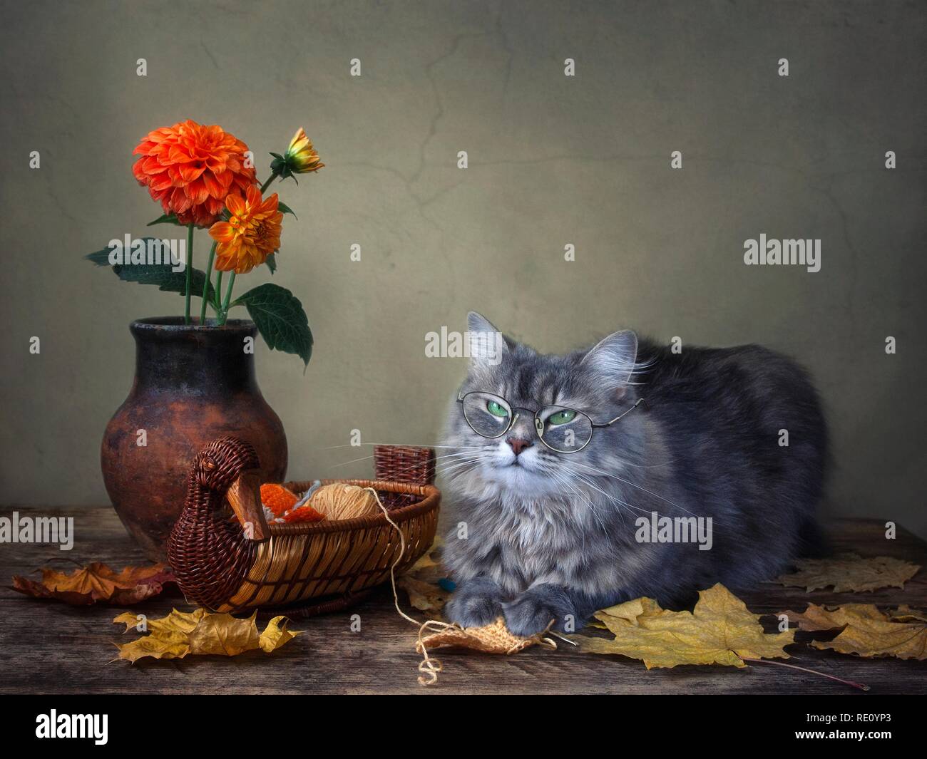Still life with bouquet of flowers and pretty kitty Stock Photo - Alamy