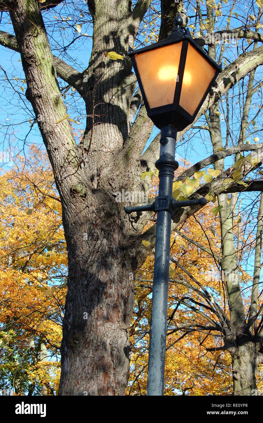 Victorian street lamp hi-res stock photography and images - Alamy