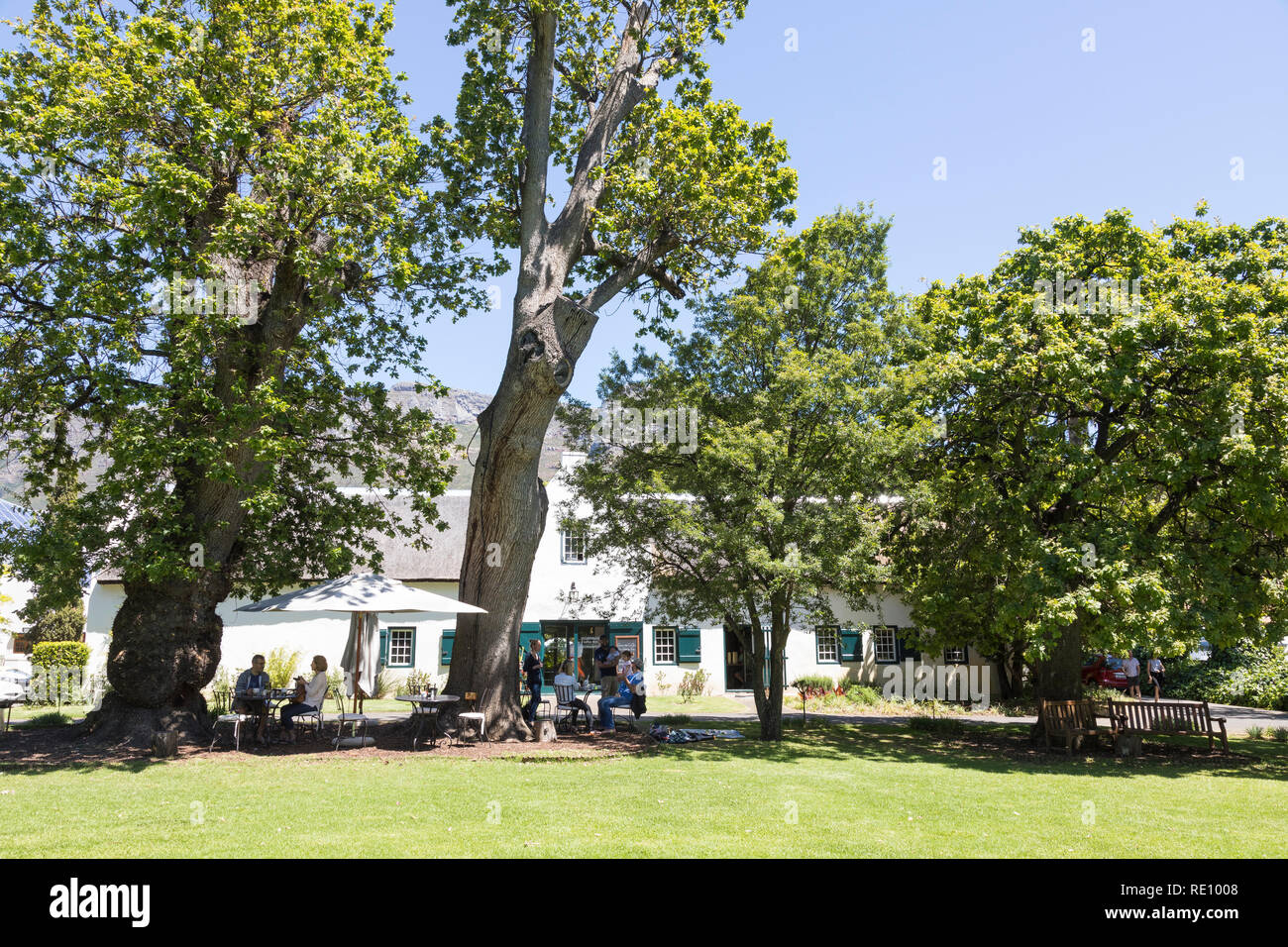 buitenverwachting-wine-estate-and-restaurant-constantia-cape-town
