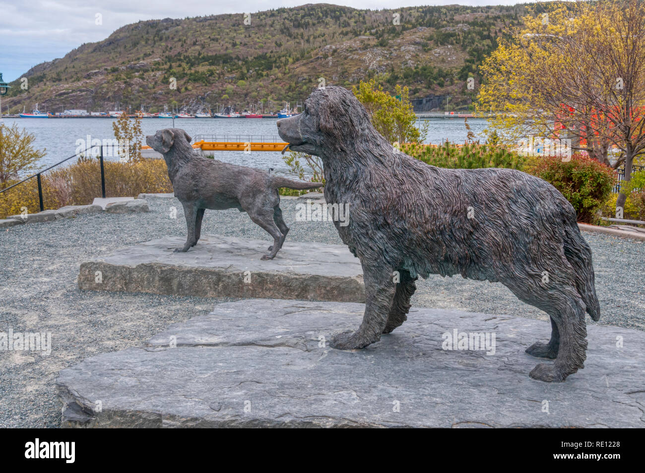 Statues of Newfoundland and Labrador dogs by Luben Boykov in Harbourside Park on the waterfront at St John's, Newfoundland. Stock Photo
