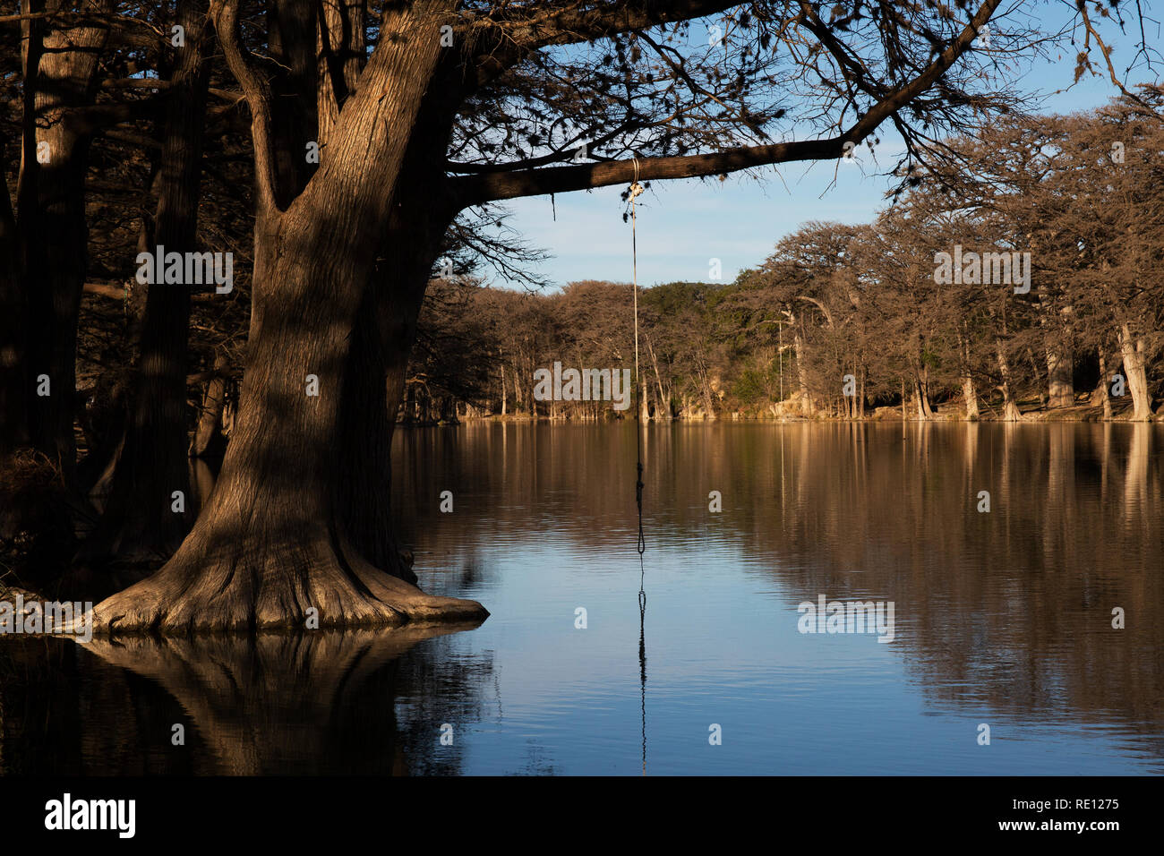 Rope Swing at the Frio River in Garner State Park, Texas Stock Photo