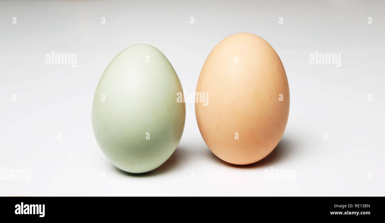 Healthy poultry eggs Stock Photo Alamy