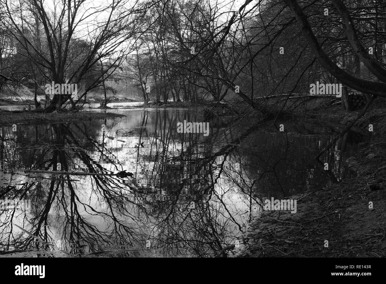 Flood of a river during winter at German Area Sieg Stock Photo