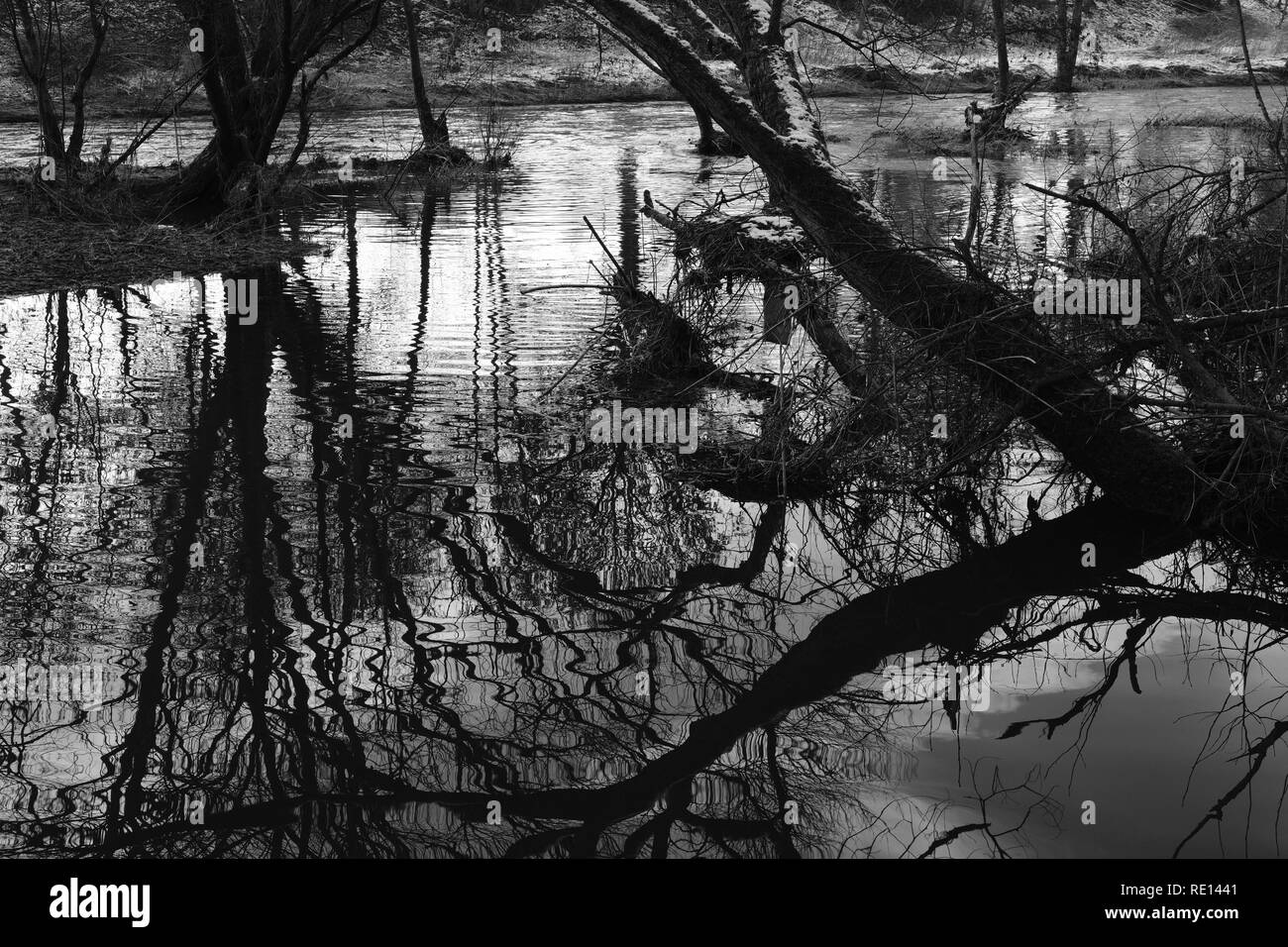 Flood of a river during winter at German Area Sieg Stock Photo