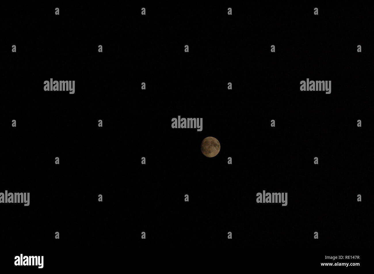 The moon Stock Photo