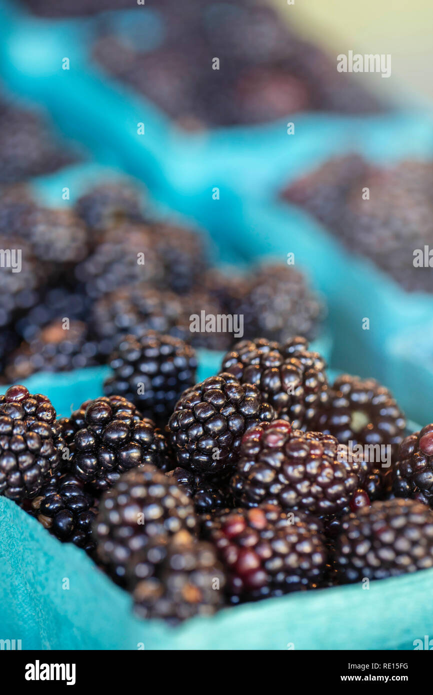 Blackberries for sale at farmers market Stock Photo Alamy