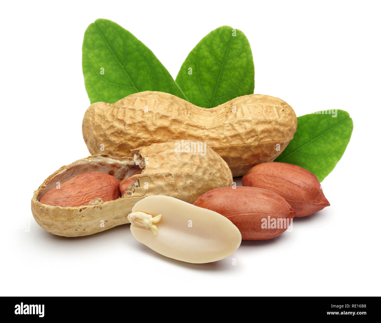 Peanuts and leaves isolated on white background Stock Photo - Alamy