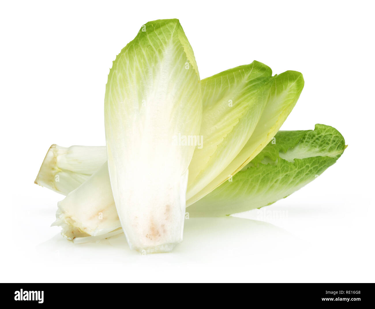Fresh endive isolated on white background Stock Photo Alamy