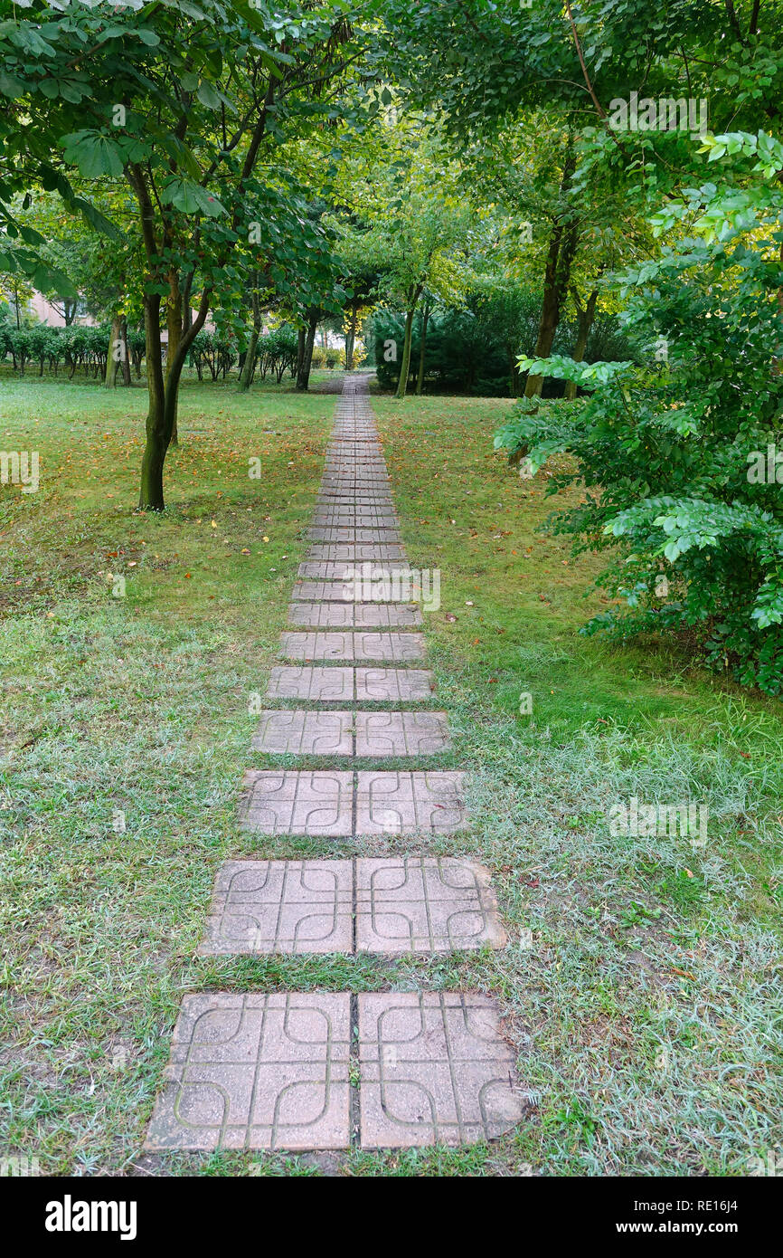 Walkway among the green trees in the park Stock Photo - Alamy