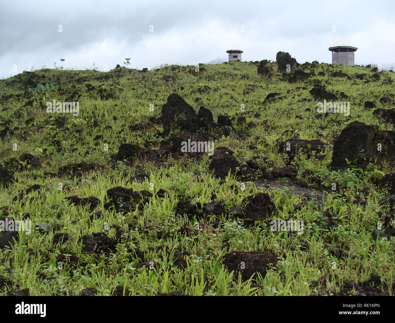 Batoke / Cameroon - October 2009: The lava from an volcano erruption of the Mount Cameroon. Stock Photo