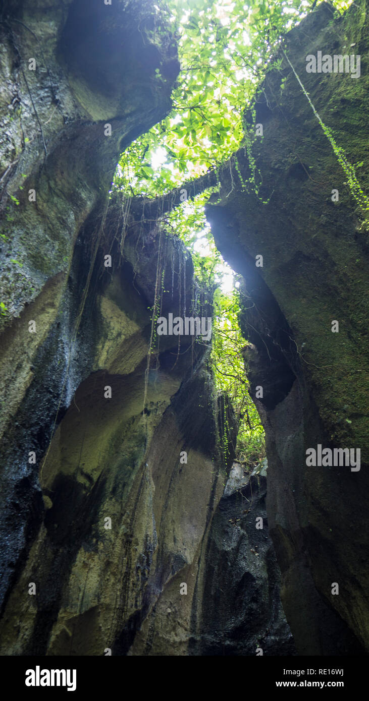 Khao Sok Cave Stock Photo - Alamy