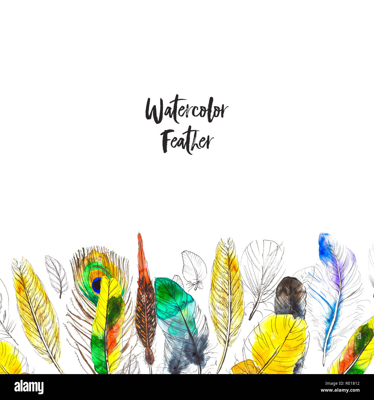 Watercolor frame with colorful feathers on white background Stock Photo ...
