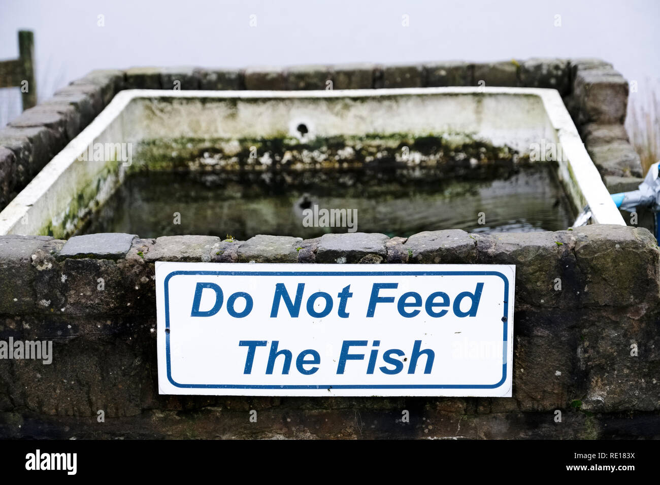 Do not feed fish sign Stock Photo Alamy