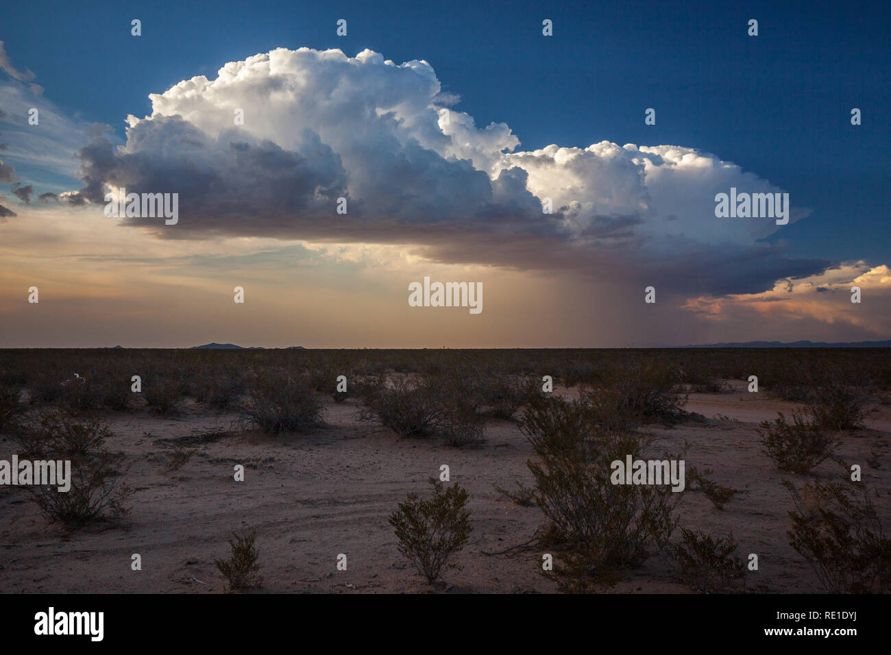 Hatch Valley High Resolution Stock Photography and Images Alamy