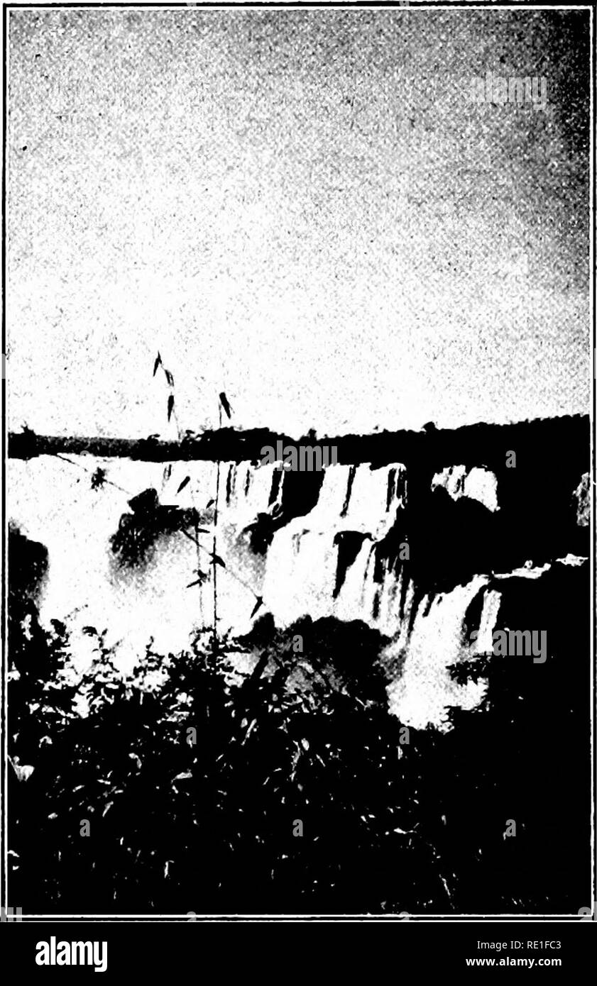 Booksubjectplantec Stock Photos Booksubjectplantec Stock