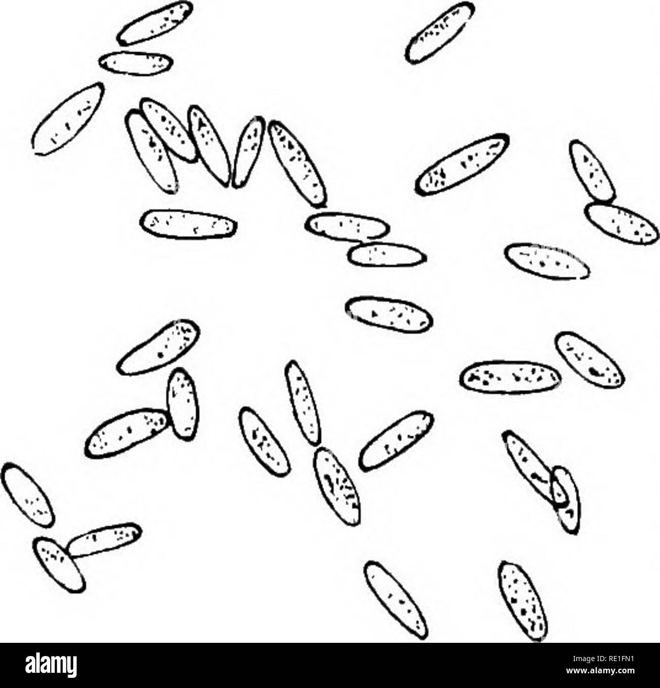 Enfant Cut Out Stock Images Pictures Alamy