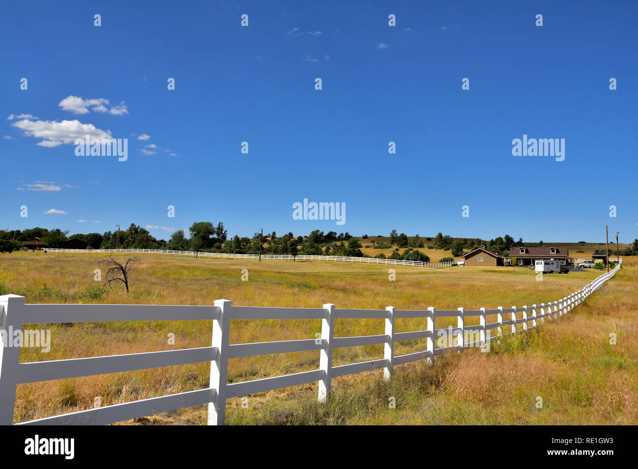 Arizona flat landscape in Prescott Valley with white wooden fence around yard and grazing pasture Stock Photo