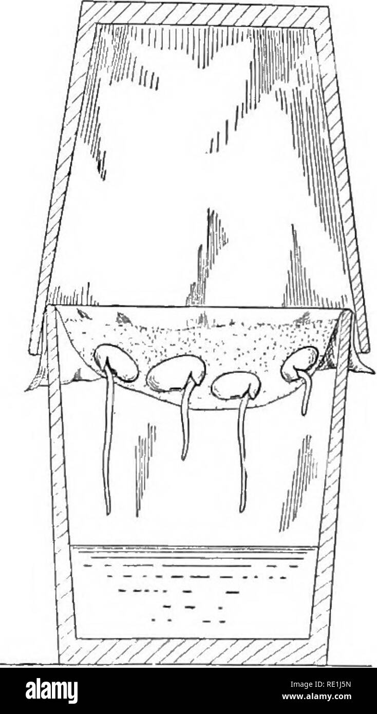 ecocolumn air holes