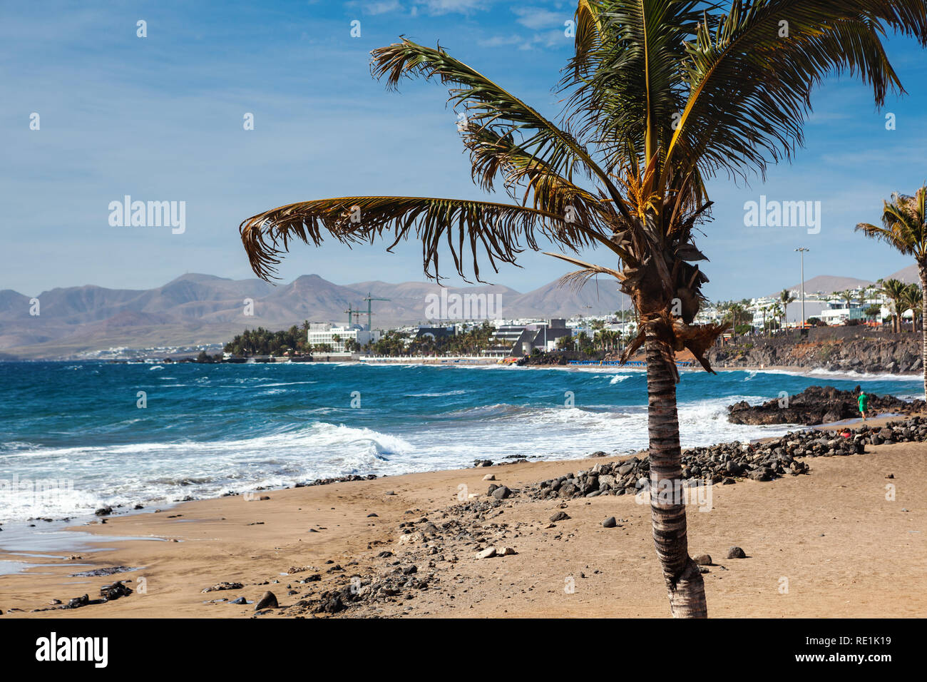 Puerto del Carmen beach in Lanzarote, Canary islands, Spain. blue sea, palm trees, selective focus Stock Photo