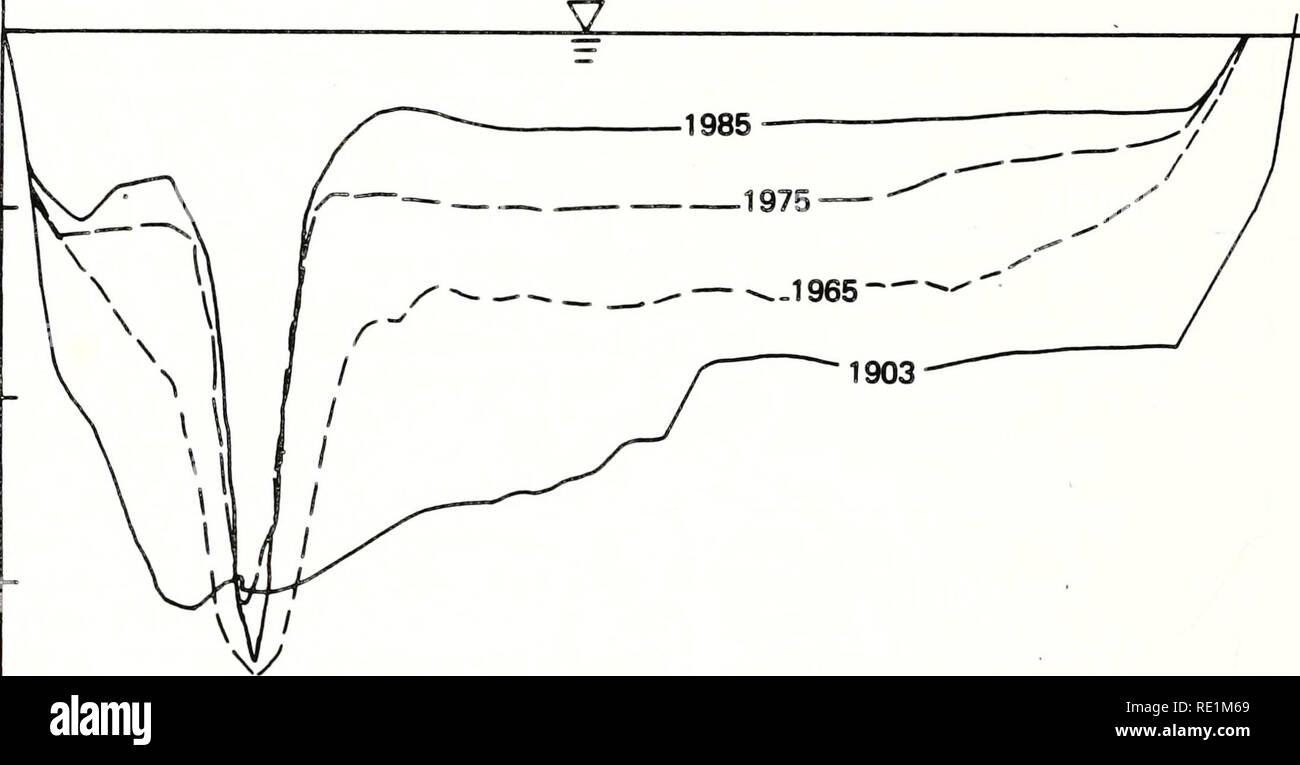 . Ecological structure and function of major rivers in Illinois &quot;large river LTER&quot; : 1985 progress report. Ecology; Ecology; Long term ecological research. 440 RIVER MILE 169.5. 435 430 -I 425 420 - 1000 2000 3000 4000 5000 6000 DISTANCE FROM RIGHT BANK OF RIVER, feet 7000 Fig. 3. Historical cross-section of Peoria Lake, Illinois River, 1-8. Please note that these images are extracted from scanned page images that may have been digitally enhanced for readability - coloration and appearance of these illustrations may not perfectly resemble the original work.. Sparks, Richard E; Illino Stock Photo