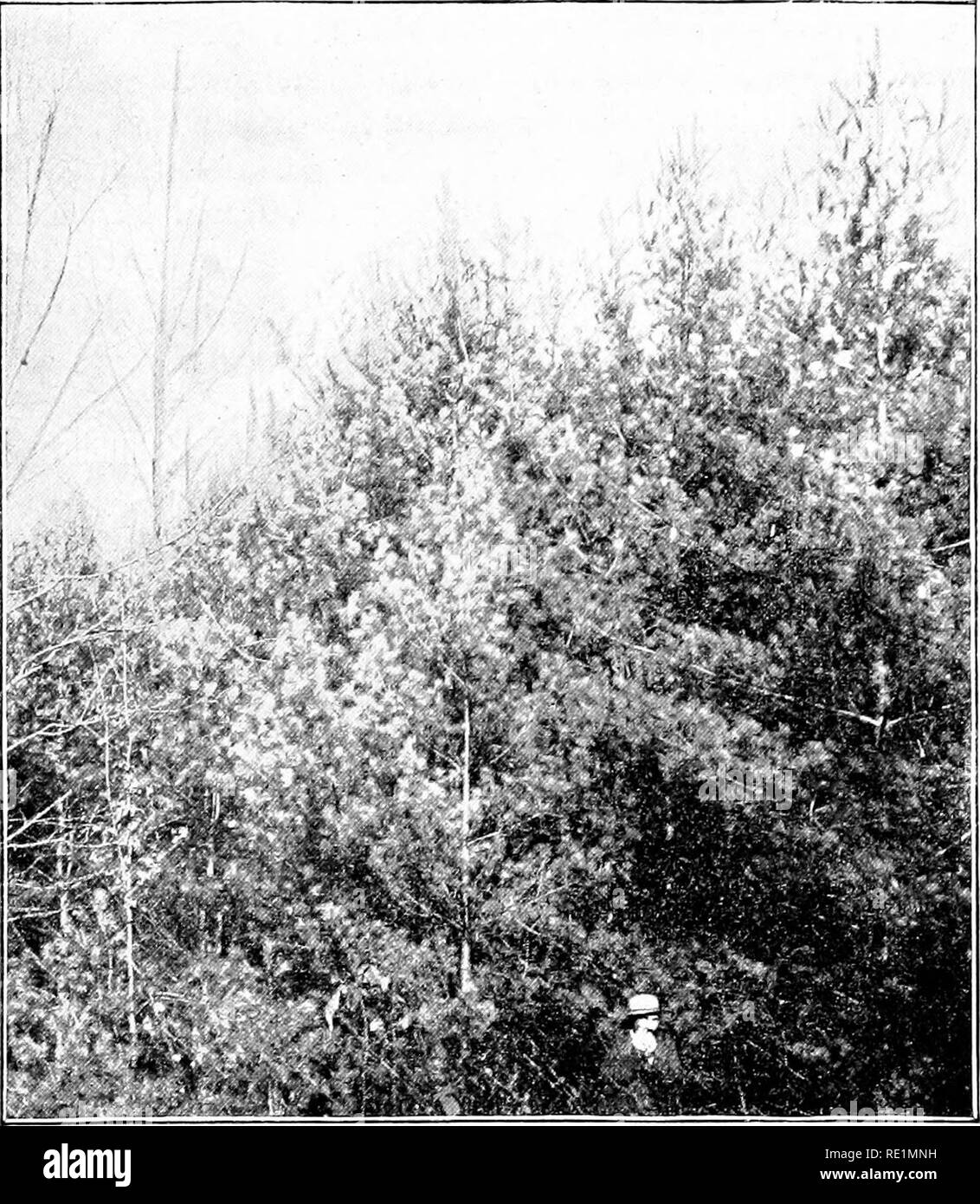 20 years of restoration Black and White Stock Photos & Images - Alamy