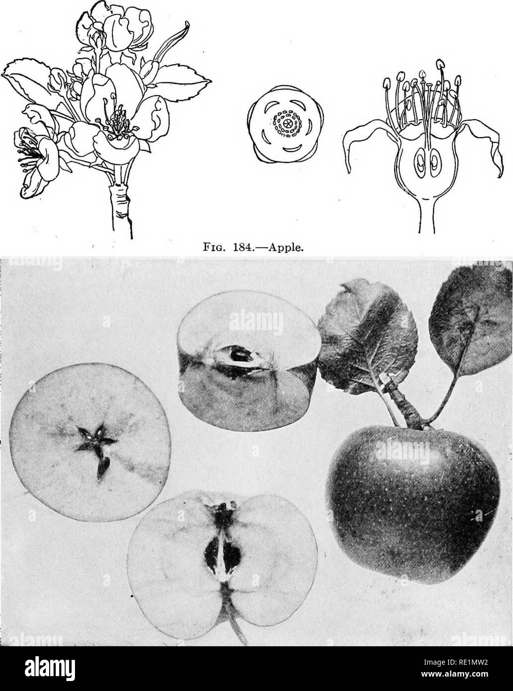 Tube shaped structure Black and White Stock Photos & Images Alamy