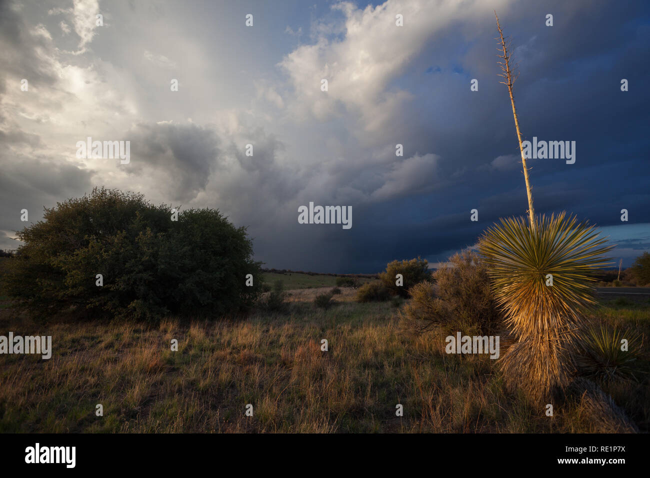 Silver City, Grant County, New Mexico, USA Stock Photo Alamy