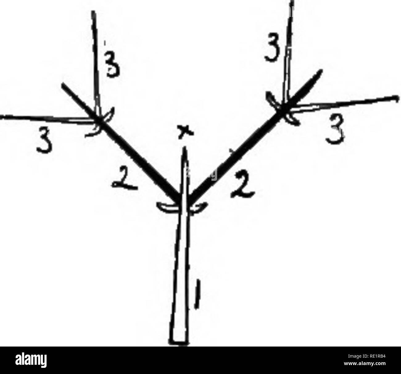 . Agricultural botany, theoretical and practical. Botany, Economic