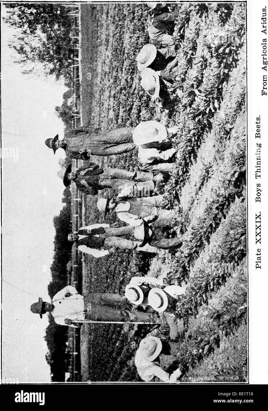 . Arid agriculture; a hand-book for the western farmer and stockman. Dry farming; Irrigation. . Please note that these images are extracted from scanned page images that may have been digitally enhanced for readability - coloration and appearance of these illustrations may not perfectly resemble the original work.. Buffum, Burt C. , 1868-. [Worland, Wy. ] The Author Stock Photo