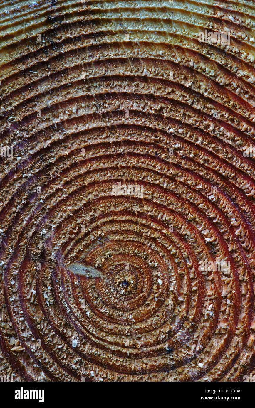 Concentric circles nature hires stock photography and images Alamy