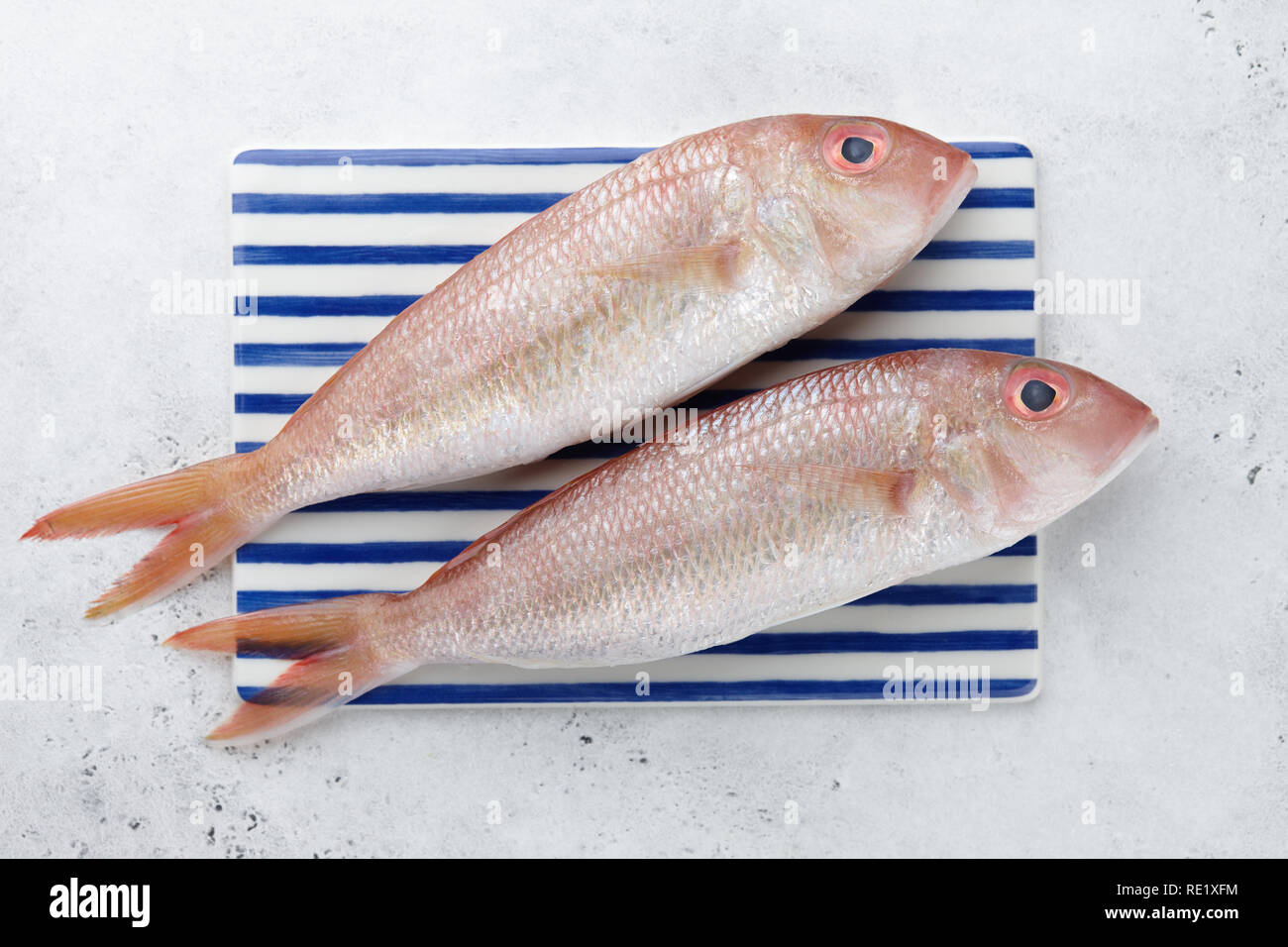 Fresh red mullet fish on striped rectangular plate on white stone background, top view Stock Photo