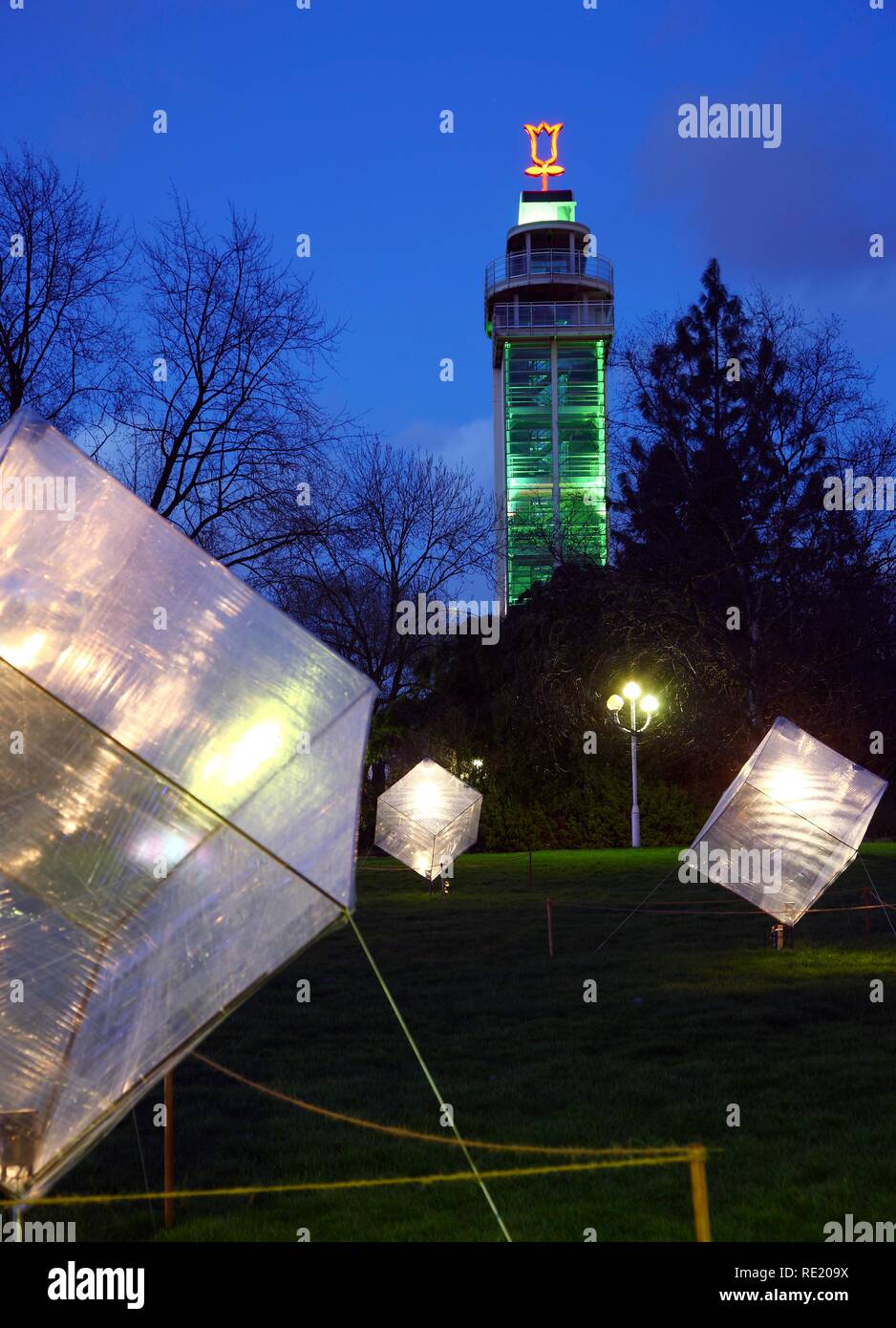 Illuminated works of art in an artistic lights installation, Gruga Park, Essen, North Rhine-Westphalia Germany, Europe Stock Photo