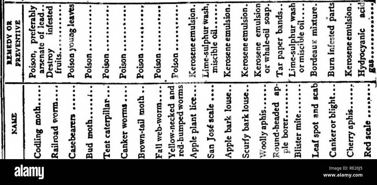 . Garden profits, big money in small plots. Vegetable gardening. f I s ^ 11 i ^ 3 &gt; W O il a u c Eh I i ill n 3 n ei i S Ui S; n (J 11 -f s -la 3 ^ 5 M &gt;. ? S i U* b^ Mi l-k* tiki ^ ^ rki * 1 ali JS.-oE-'S :?=â â¢ â¢ 5- sil ililill xi .8 I I 1 1 I li liiiiiiriiiiiiriiilil 342. Please note that these images are extracted from scanned page images that may have been digitally enhanced for readability - coloration and appearance of these illustrations may not perfectly resemble the original work.. Seymour, E. L. D. (Edward Loomis Davenport), 1888-. Garden City, N. Y. , Doubleday, Page &amp;  Stock Photo