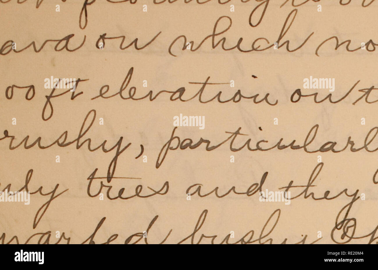 . Edward W. Gifford Galapagos expedition journal, 1905-1906 (inclusive).. 3 «3,. ex cu J^y-uLA^y AAj^AriPt^ J^hZof cxjaJ^ ^ (yJ J-+-&lt;aA/Asv i; r» &gt;/ A i/ »/ // «/ »/ . Please note that these images are extracted from scanned page images that may have been digitally enhanced for readability - coloration and appearance of these illustrations may not perfectly resemble the original work.. Gifford, Edward Winslow. Stock Photo