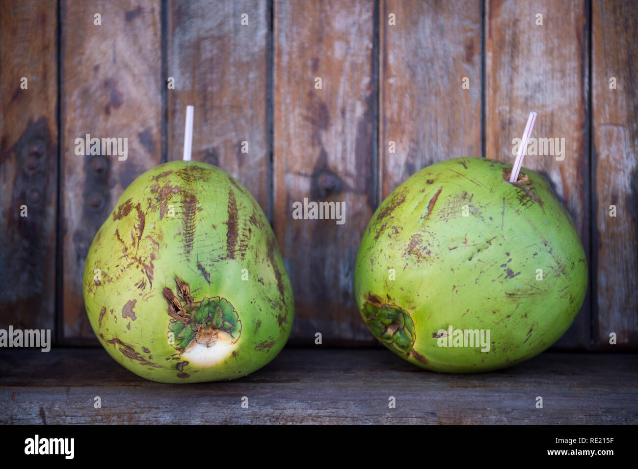 Image result for pair of green coconuts
