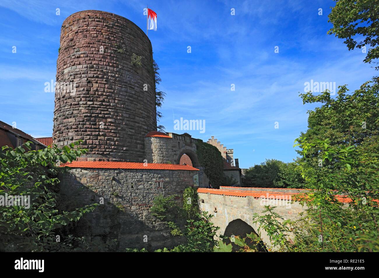 Keep of Saaleck Castle near Hammelburg, Lower Franconia, Bavaria Stock Photo