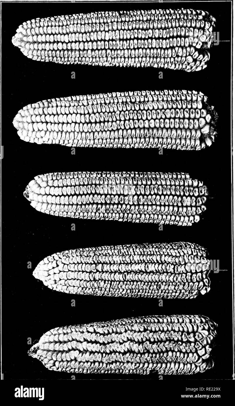 Lady bo Black and White Stock Photos & Images Alamy