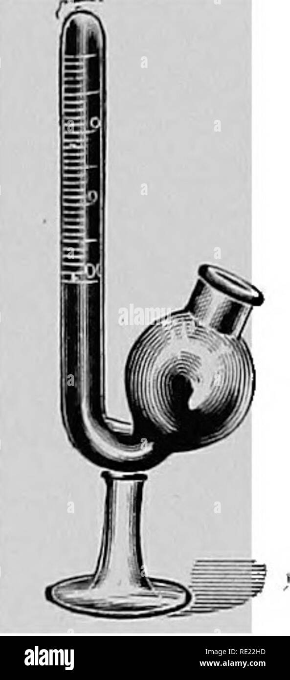 . Pharmaceutical bacteriology, with special reference to disinfection and sterilization. Bacteriology. Fig. 37.—Graduated fermentation tube. These tubes are required for gas determination with colon bacillus and other gas-forming micro-organisms. aerobic or essentially anaerobic; the manner of determining the thermal death- point; relationship of rate of growth to temperature, etc. We have said nothing of the use of indicators added to culture media, as litmus, rosolic acid, and phenolphthalein, nor have we explained the special use of special culture media in determining the nature and identi Stock Photo