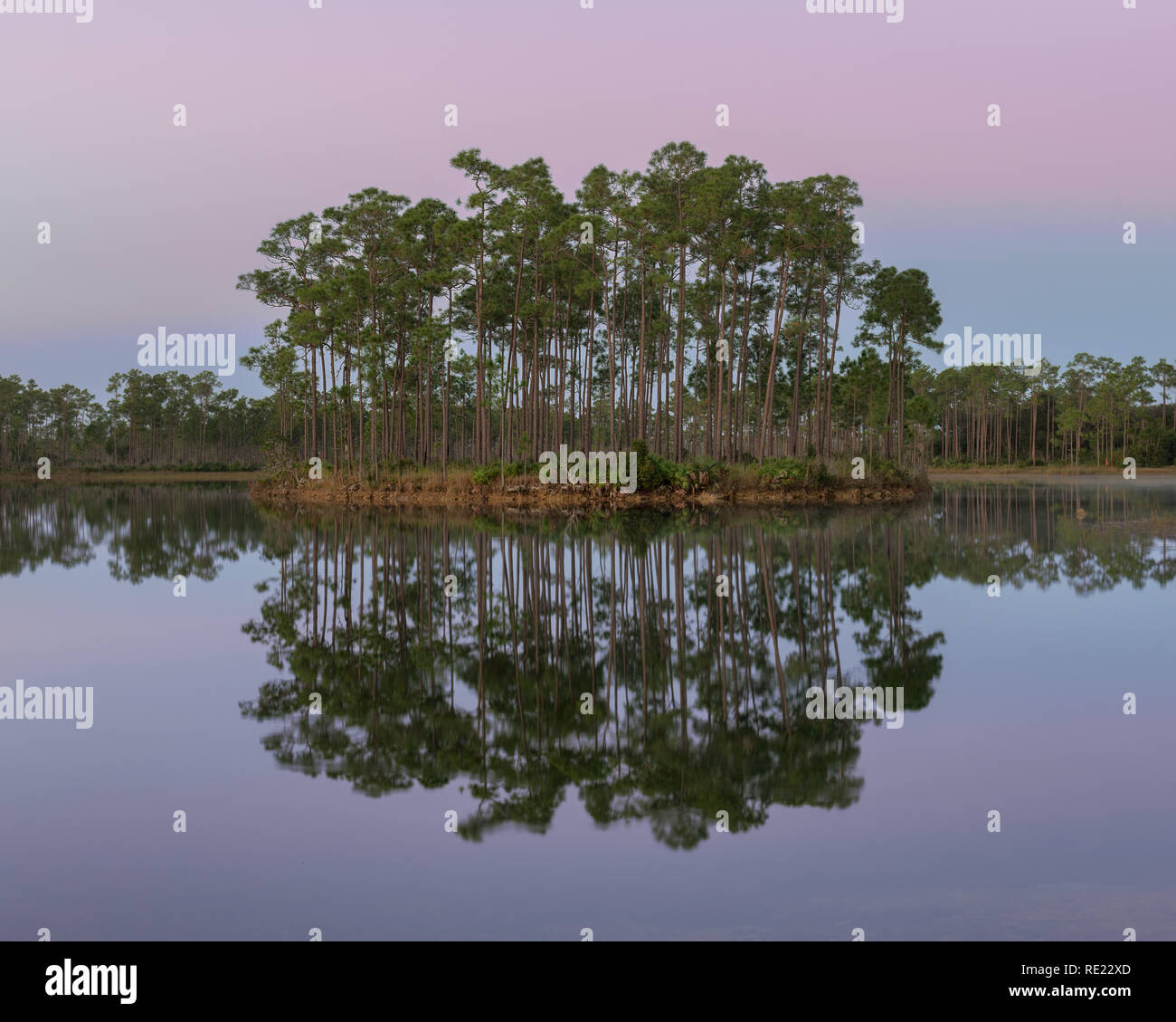 Dawn at Long Pine Key Lake in Everglades National Park near Homestead, Florida Stock Photo