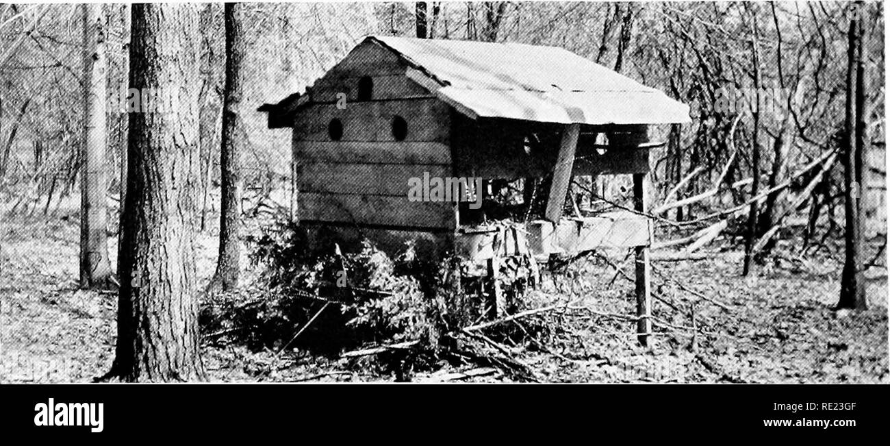 Home made bird feeder Black and White Stock Photos & Images Alamy