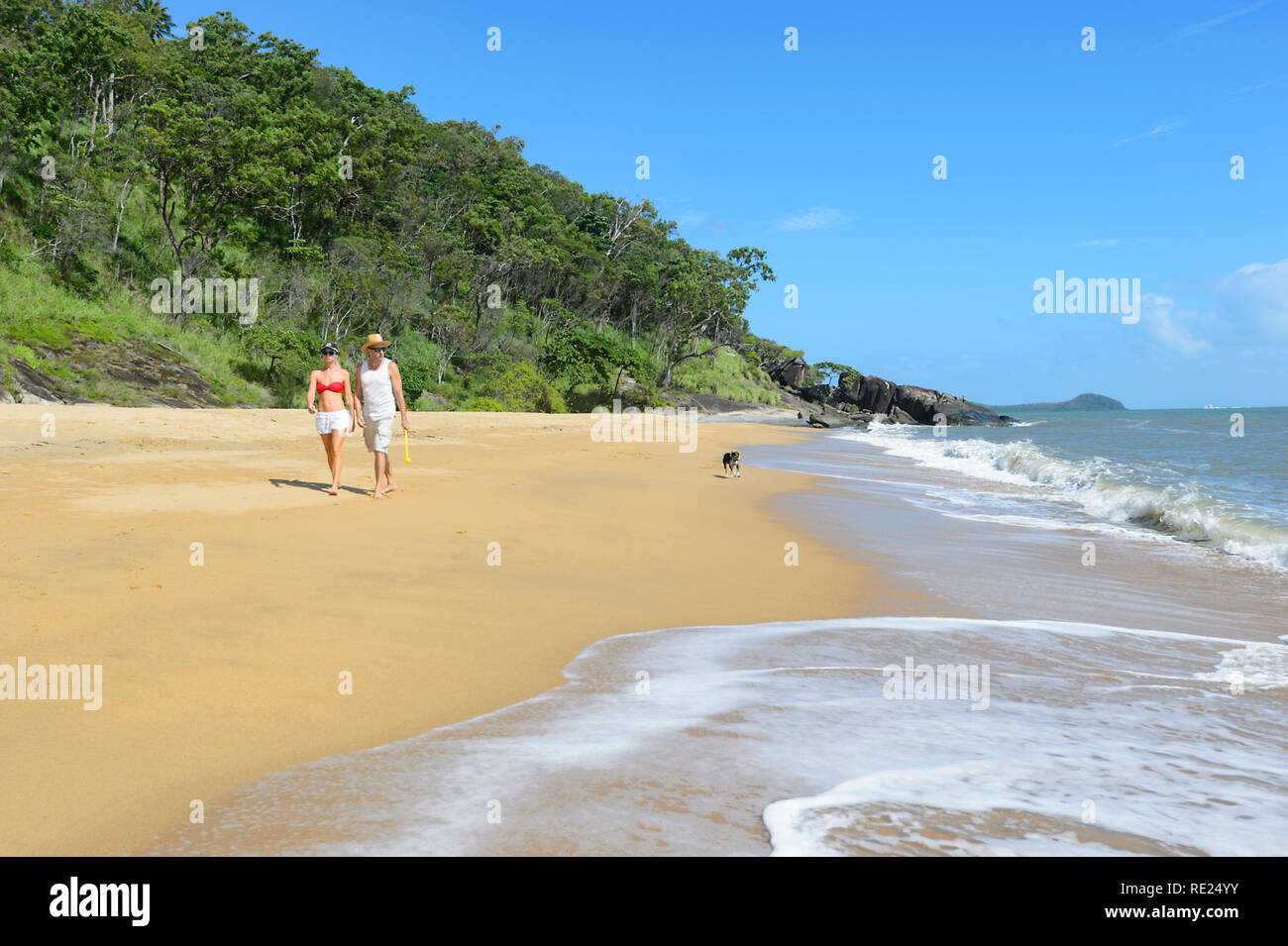 Couple walking a dog on the beach, Trinity Beach, Cairns Northern Beaches, Far North Queensland, QLD, FNQ, Australia Stock Photo